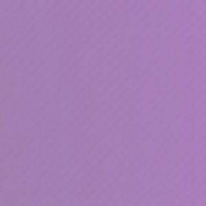 Meet your Posher, Sofia